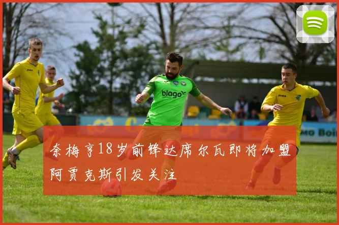 奈梅亨18岁前锋达席尔瓦即将加盟阿贾克斯引发关注