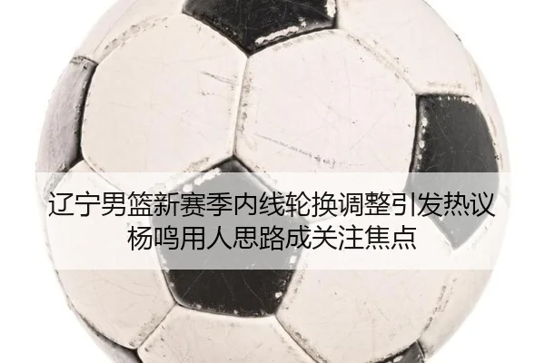辽宁男篮新赛季内线轮换调整引发热议 杨鸣用人思路成关注焦点 - HaoBo